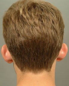 ears