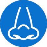blue nose icon